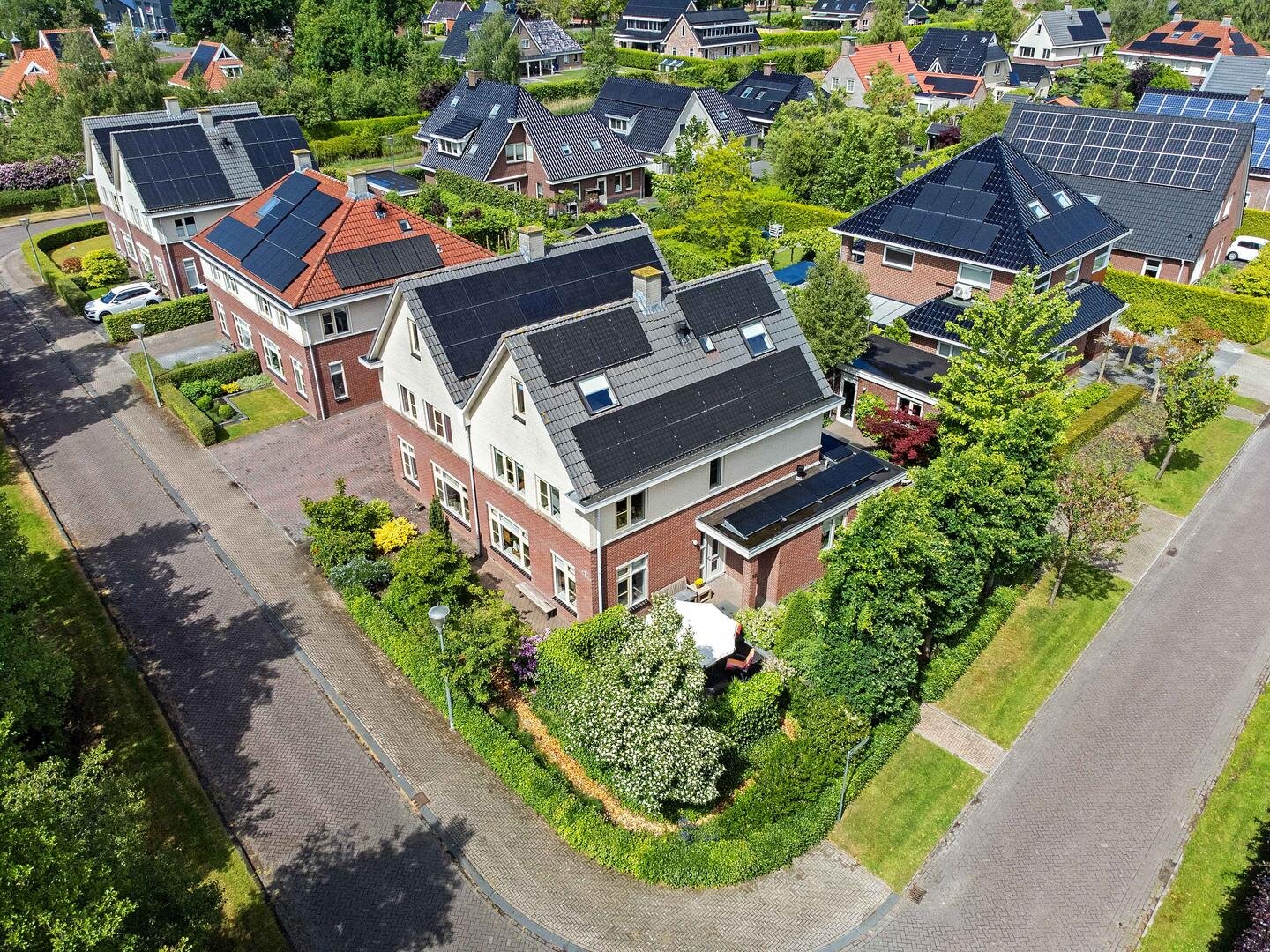 Zwarte Els 12 Leek