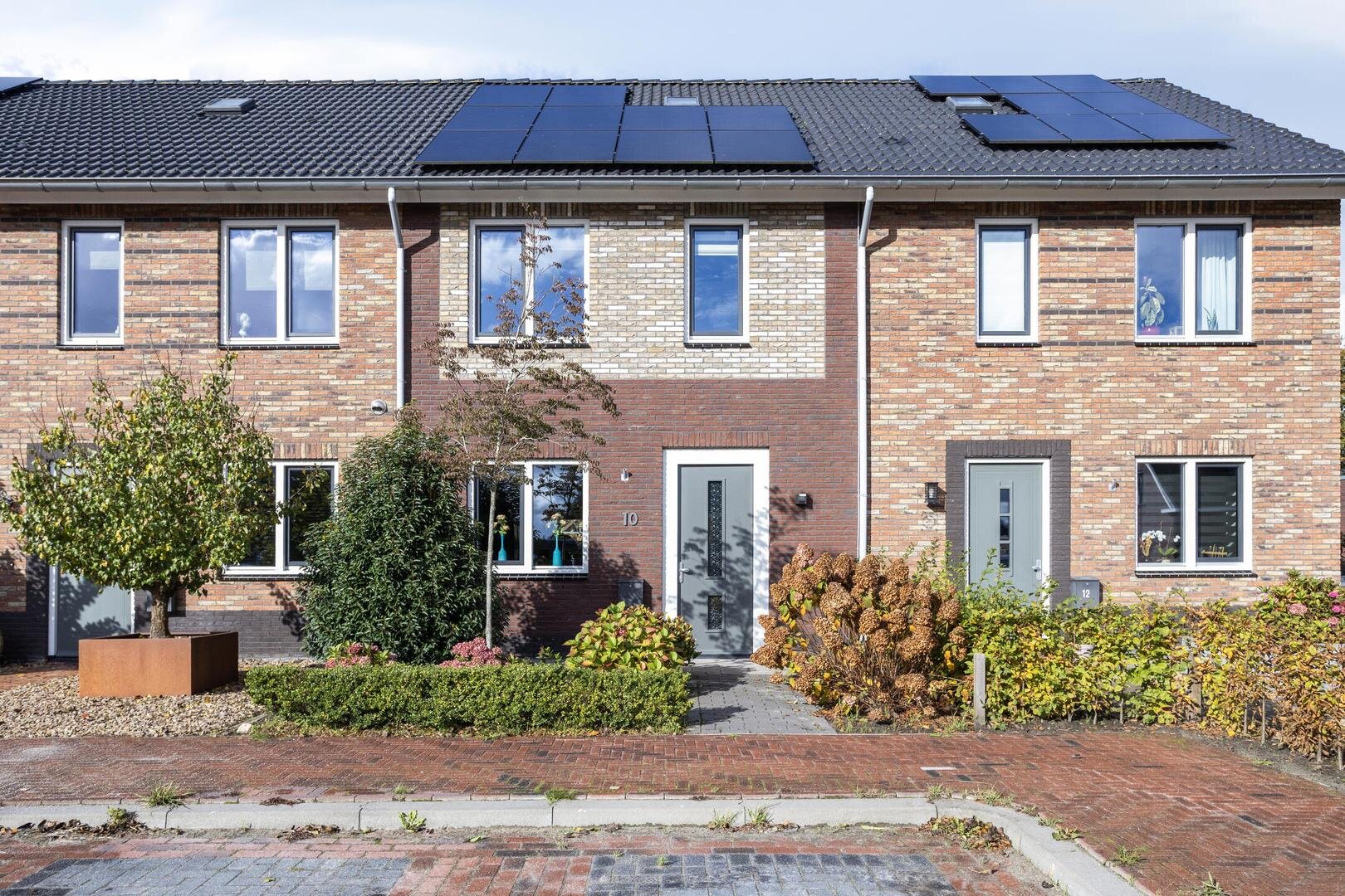 Tureluur 10 Zevenhuizen