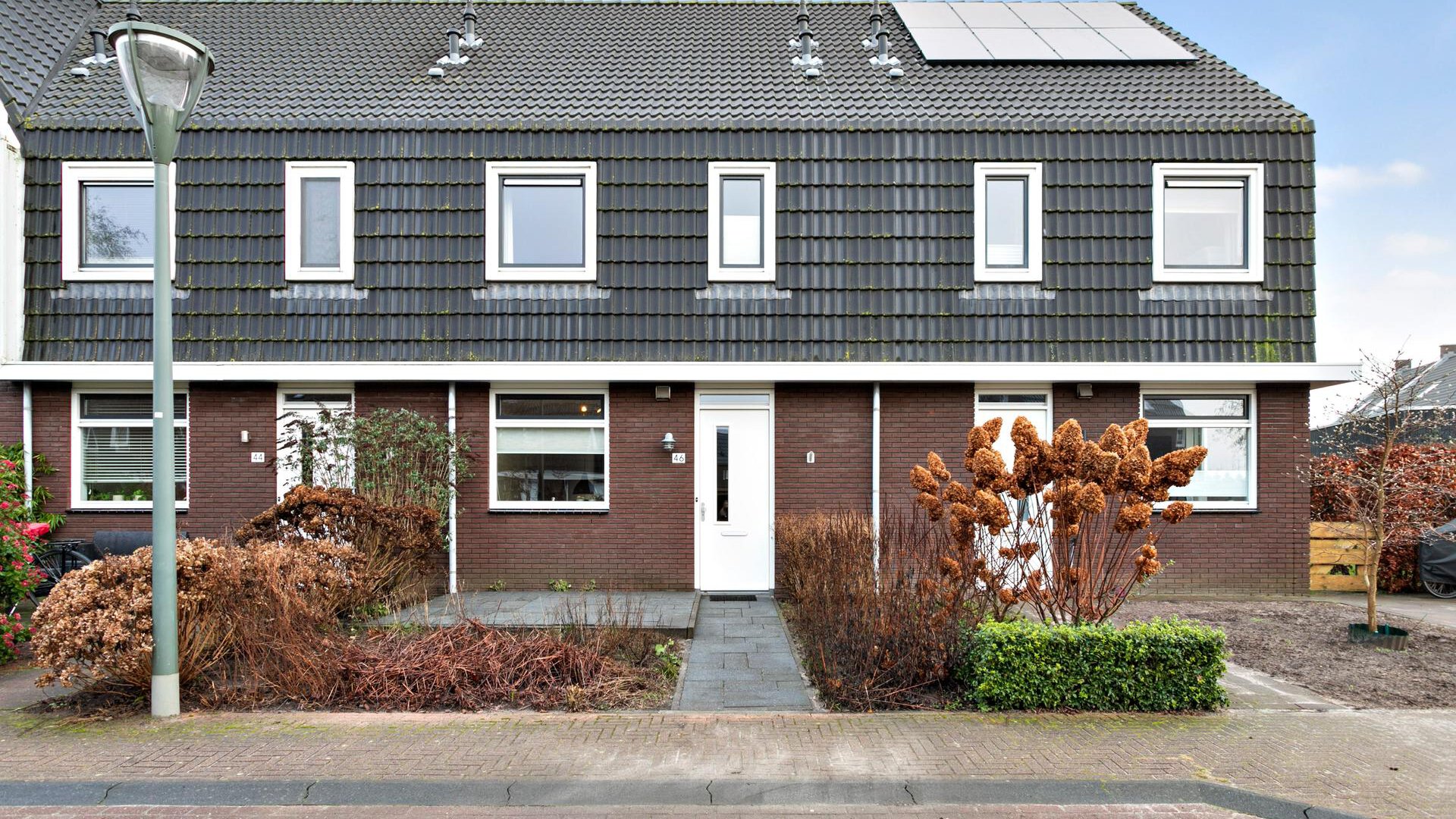 Populier 46 Leek