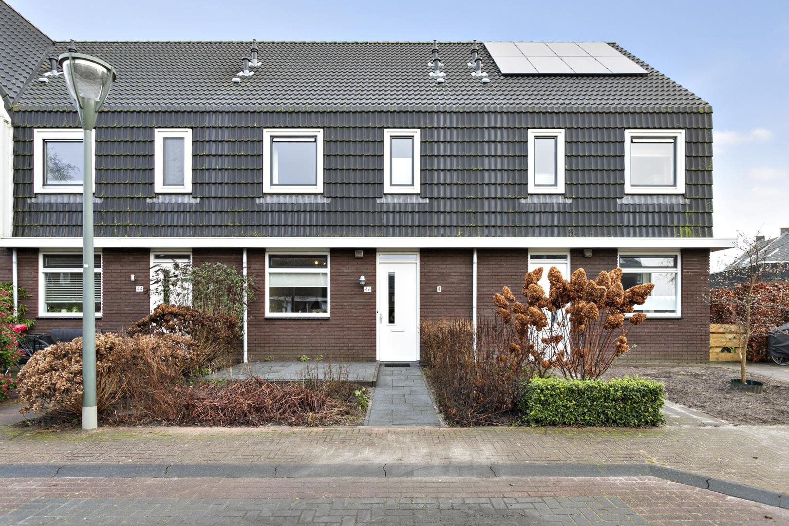 Populier 46 Leek