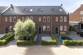 Dobbe 36